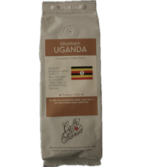 Caffe Piansa Silverback Uganda